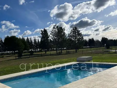 Fincas de San Vicente