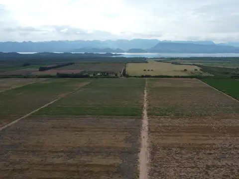 Campo en Venta en Coronel Moldes