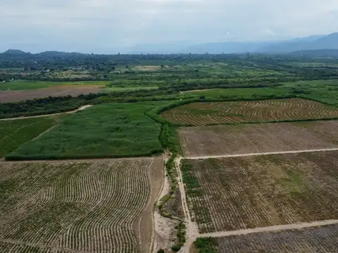 Campo en Venta en Coronel Moldes