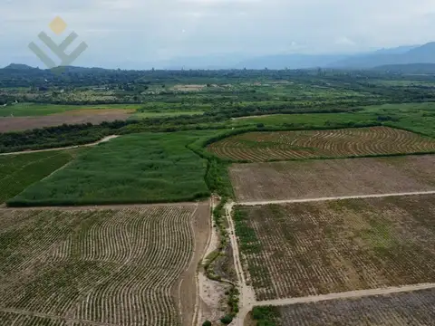 Campo en Venta en Coronel Moldes