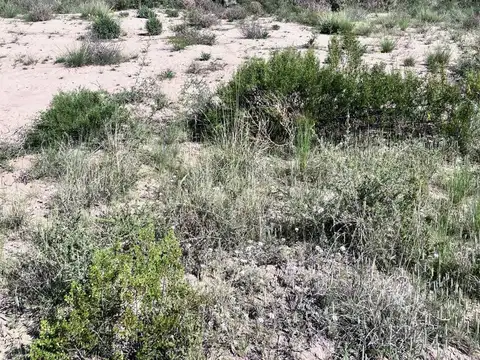 Terreno en Venta de 25950,0 m2