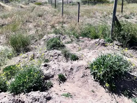 VENTA TERRENO Ruta Provincial 82 y Saenz Peña