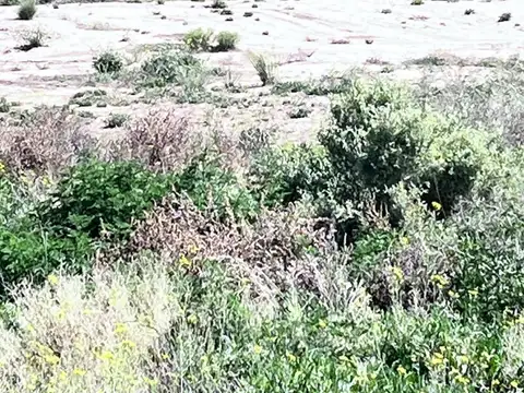 Terreno en Venta en Las Compuertas, USD 80.000