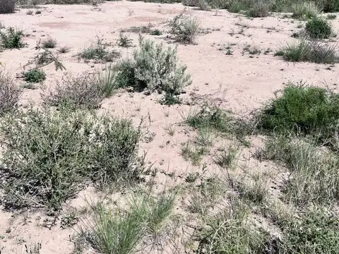 Terreno en Venta en Las Compuertas, USD 80.000