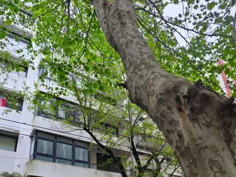Excelente Monoambiente en Venta