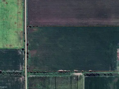 Campo en Venta en Francisco Ayerza, Partido de Pergamino