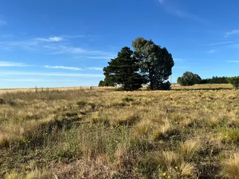 los algarrobos Terreno / Lote en venta de 1600m2 ubicado en Sierra de la Ventana