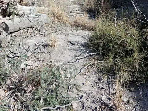 Terreno en Venta de 695,0 m2