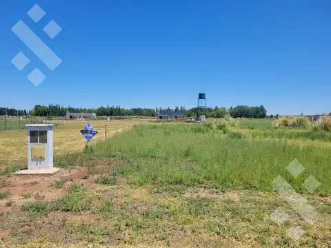 Terreno en Venta en Plottier, Confluencia
