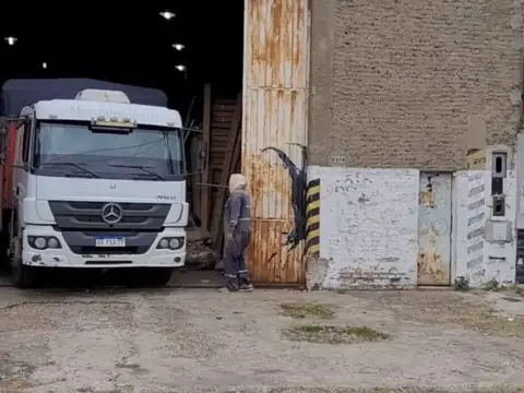 Galpon en Alquiler 36 años