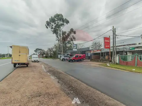 Ruta Inerbalnearia 100