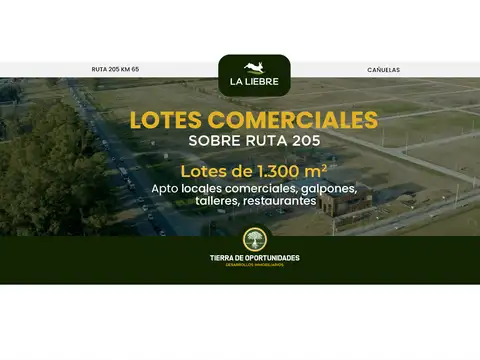 La Liebre Lotes Comerciales Sobre Ruta 205 Km 65