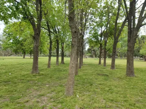 Lote en Venta en Barrio San Ismael, Florencio Varela