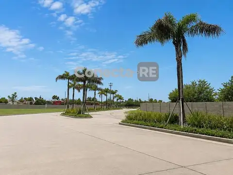 Depósito 9.000 m² a estrenar en Alquiler - Parque Industrial Reconquista