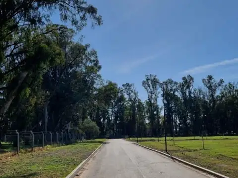 Calle Desconocida  S/N