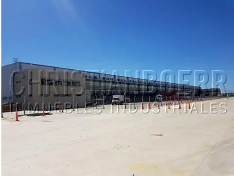 Av. Constituyentes  699