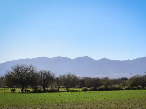 Finca en venta en el corazón de los Valles Calchaquies, Ruta Nacional 40