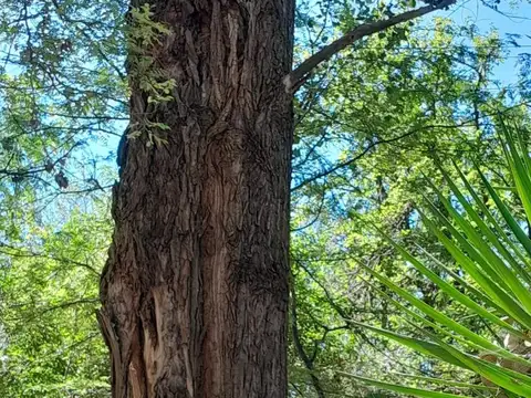 OPORTUNIDAD LOTE EN VENTA EN EL TAJAMAR SOBRE DE RUTA 14