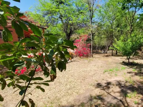 Calle Pública 2