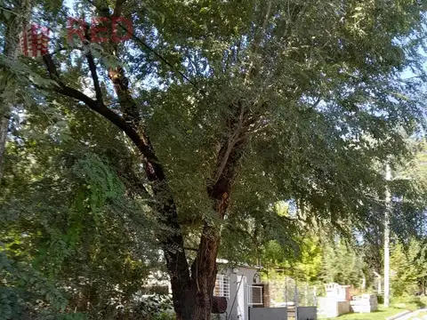 Terreno en Venta 23  mts Fondo