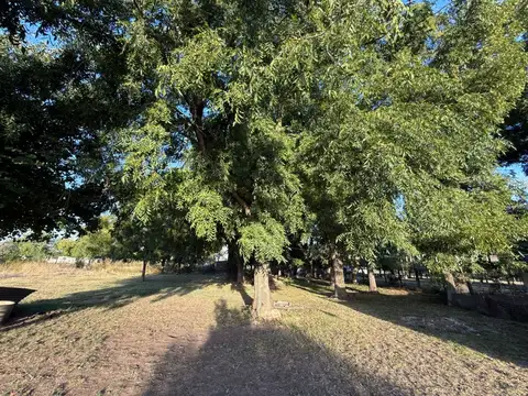 Barracas