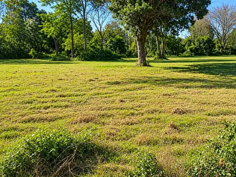 Estrella Federal