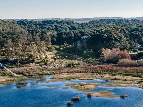 Lote en venta de 1.126 m2 sobre la costa de Laguna Blanca - Reserva Montoya