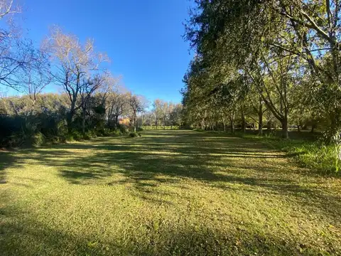 Lote en Venta 