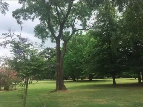 Terreno en Venta en Pilar Centro, USD 65.000