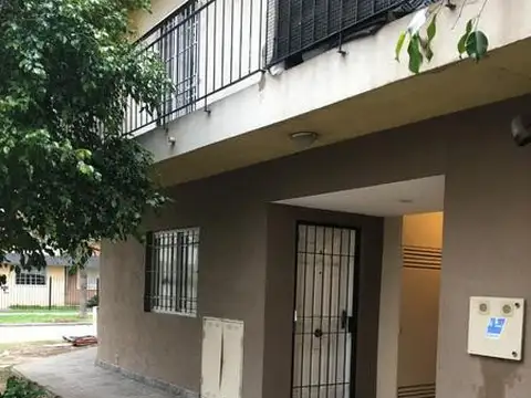 Paunero al 300