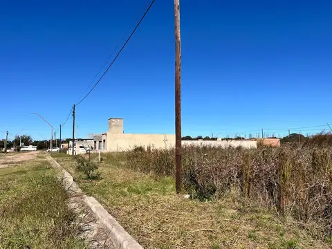 manzana 143 100