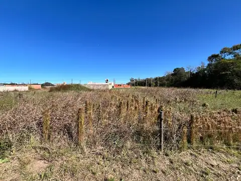 manzana 143 100