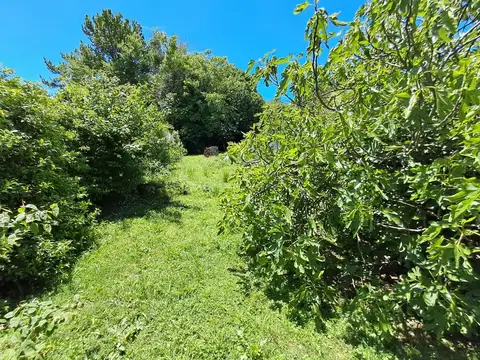 Terreno en Venta en Tandil, USD 87.000