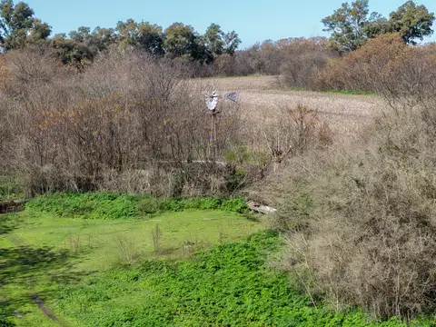 Campo en Venta de 181  ha