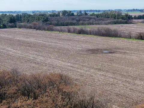 Campo en Venta Mixto