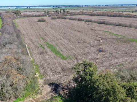 Campo en Venta de 181  ha