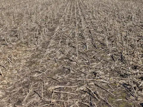 Campo en Venta Mixto