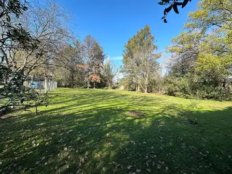 Bella Vista 100