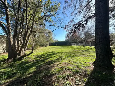 Bella Vista 100
