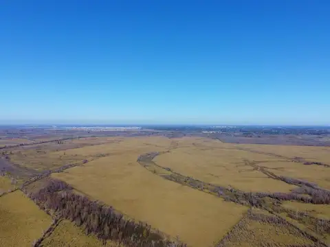 VENTA 19.39 HA ESCOBAR SOBRE RUTA 25 DELTA PARANA