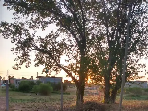 Terreno en Venta 30  mts Fondo