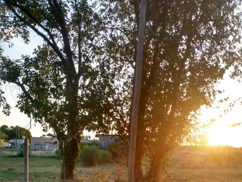 Terreno en Venta 10  mts Frente