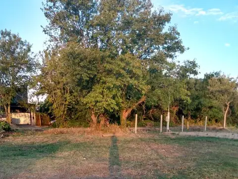 Terreno en venta en Arturo Segui