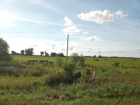 Campo - La Cabral - San Cristobal - Santa Fe