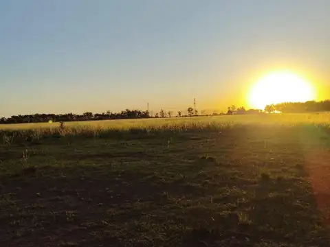 VENTA LOTE DE 13 HA EN ARROYO SECO - PROVINCIA SANTA FE