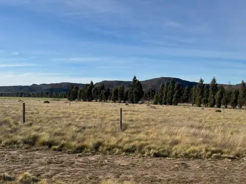 Terreno en Venta de 605,0 m2