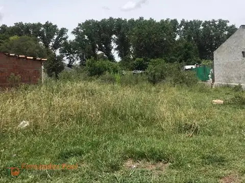 Terreno en  ROLDAN 292M2