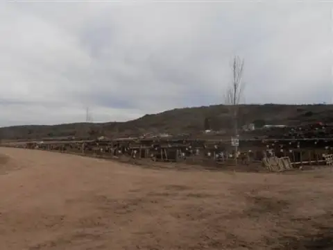 Campo  en Venta en San Luis Capital, San Luis, Argentina