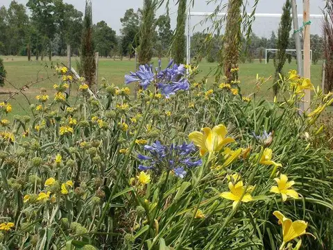 Terreno en Venta en San Lucas, USD 33.000