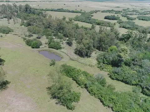 Se vende chacra de 19h próxima a Treinta y Tres